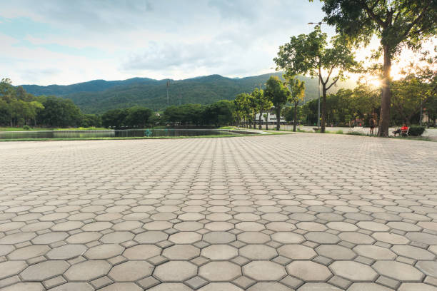 Best Custom Driveway Pavers  in Mesquite, NV